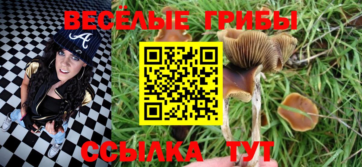 Галлюциногенные грибы ЛСД  Вход с VPN  Аксай 